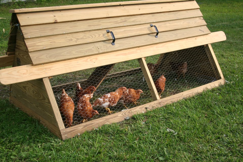 chicken tractor – moves the chickens around the yard where they 