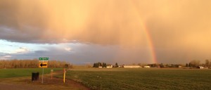 Yellow rain clouds, blue skies, rainbow's end