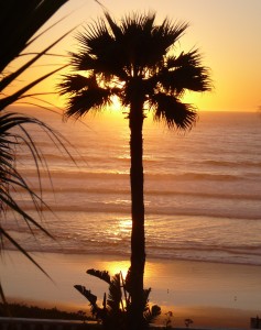 Sunset in Baja