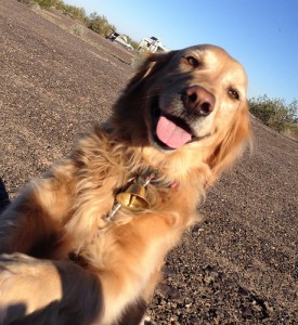 Happy