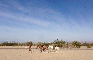 A man, his broom, his dog, his 2 horses go for a walk down a dusty desert road