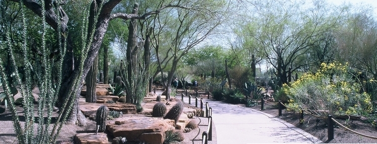 Ethel M Cactus Garden - photo by lasvegas.com