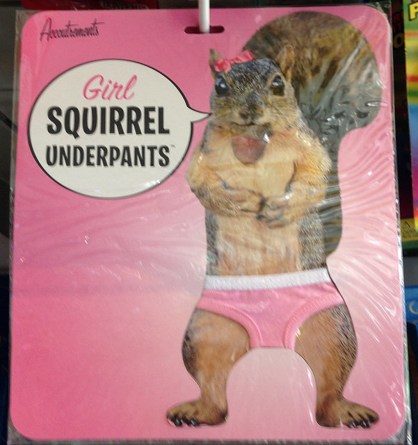 girl squirrel underpants