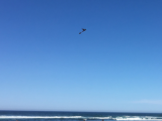 kite at the beach